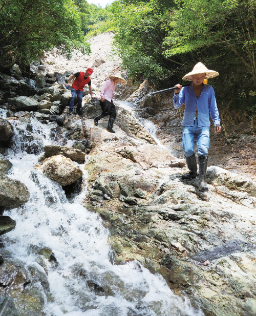 山上找水源 溪中增流量 我市灾区供水已基本恢复